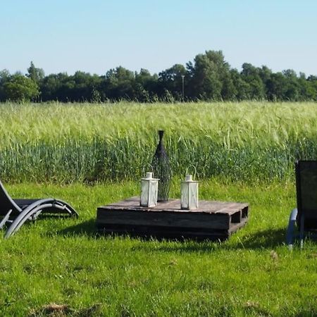 La Case A Jane, Gite Familial En Pays Tarnais Coufouleux エクステリア 写真