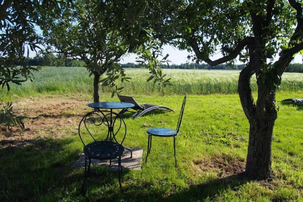 La Case A Jane, Gite Familial En Pays Tarnais Coufouleux エクステリア 写真